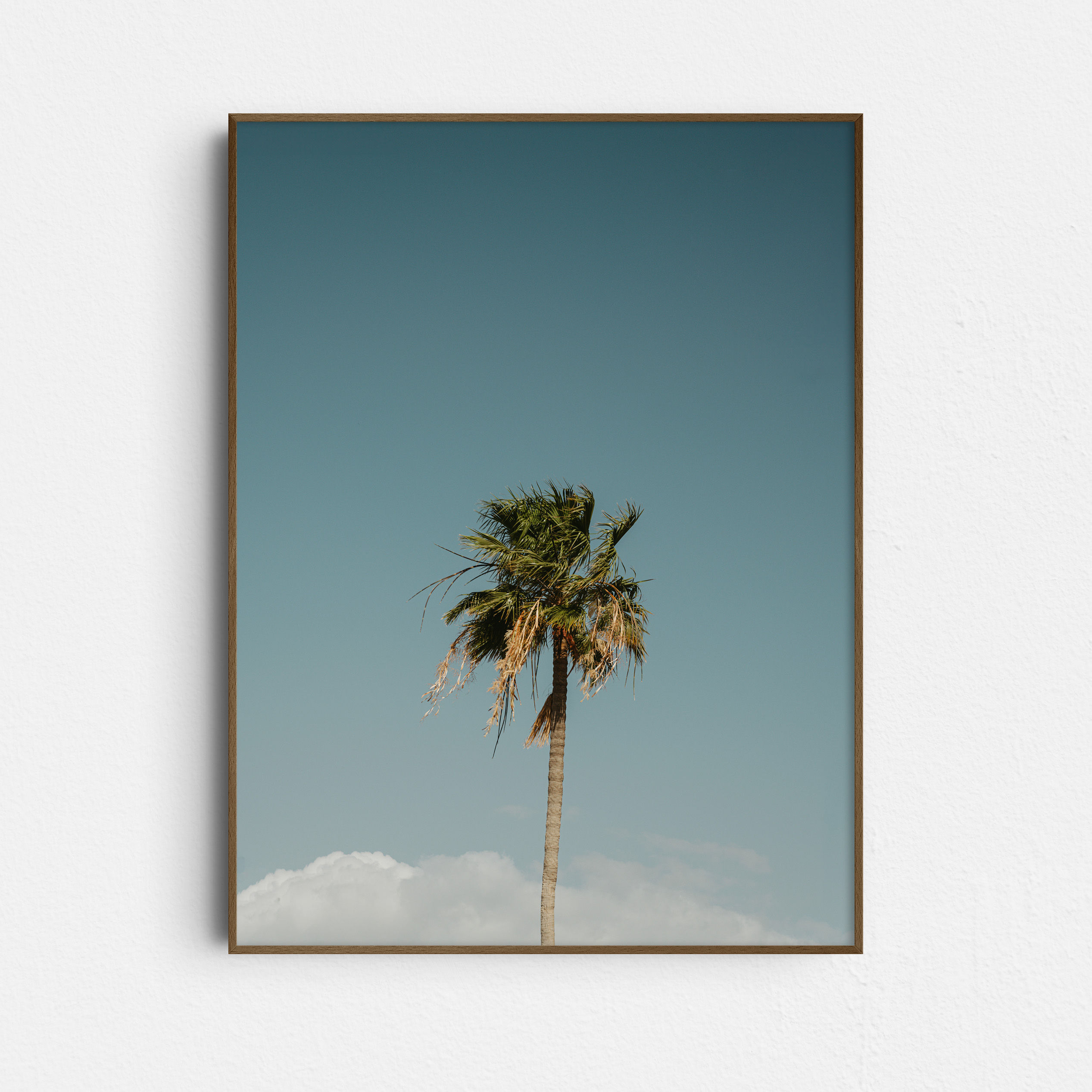 02.16 Palmtree and Cloud - Poster Print