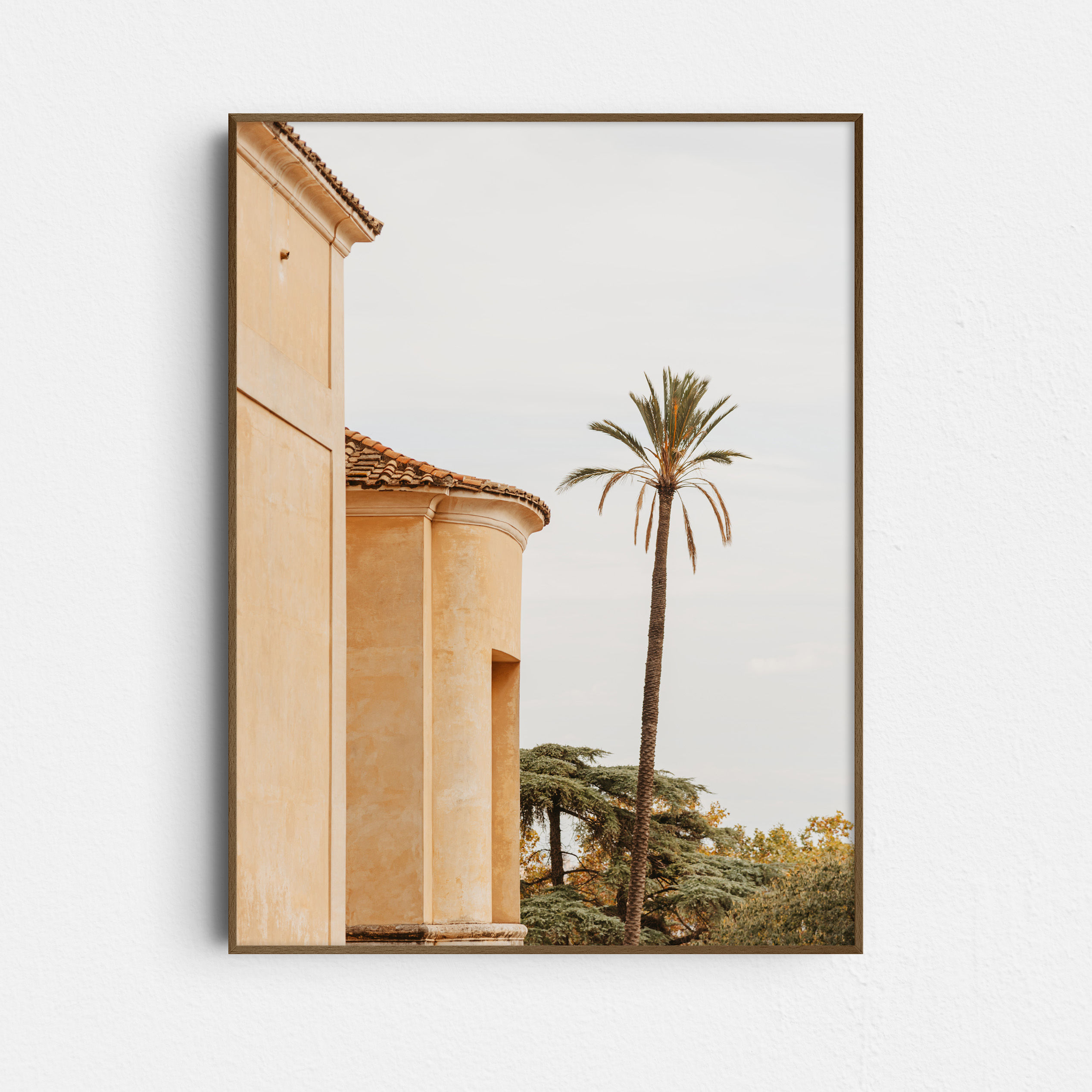 02.06 Roman Palmtree - Poster Print