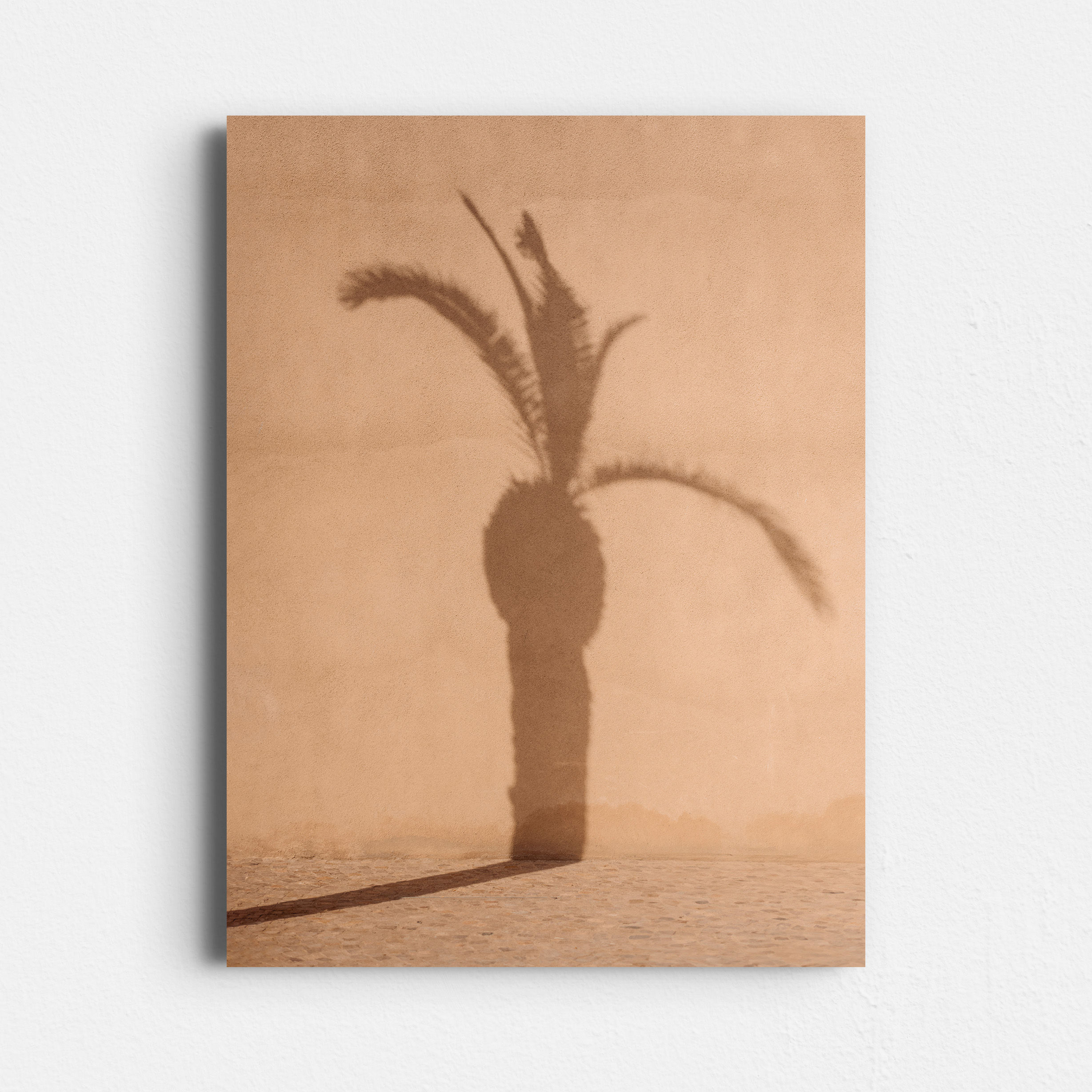 03.14 Throwing Shade - Matte Foam Print