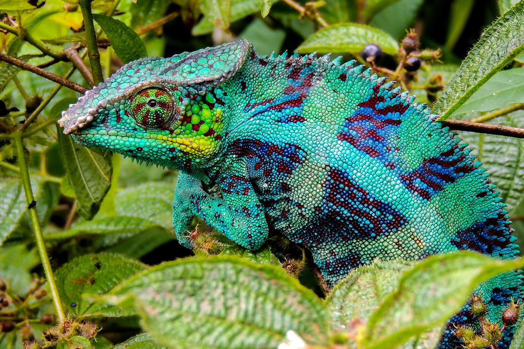 AdobeStock_207868545.jpeg