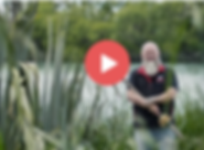 Screen Shot 2019-11-01 at 3.03.35 PM.png