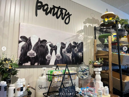 Magnolia Food Project Pantry