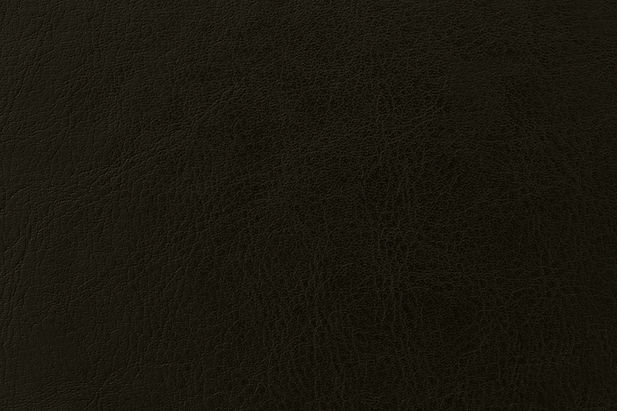 Green Leather_edited.jpg