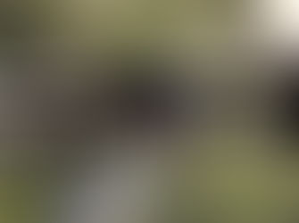 The Evolution of Drones: A Journey from Past to Present