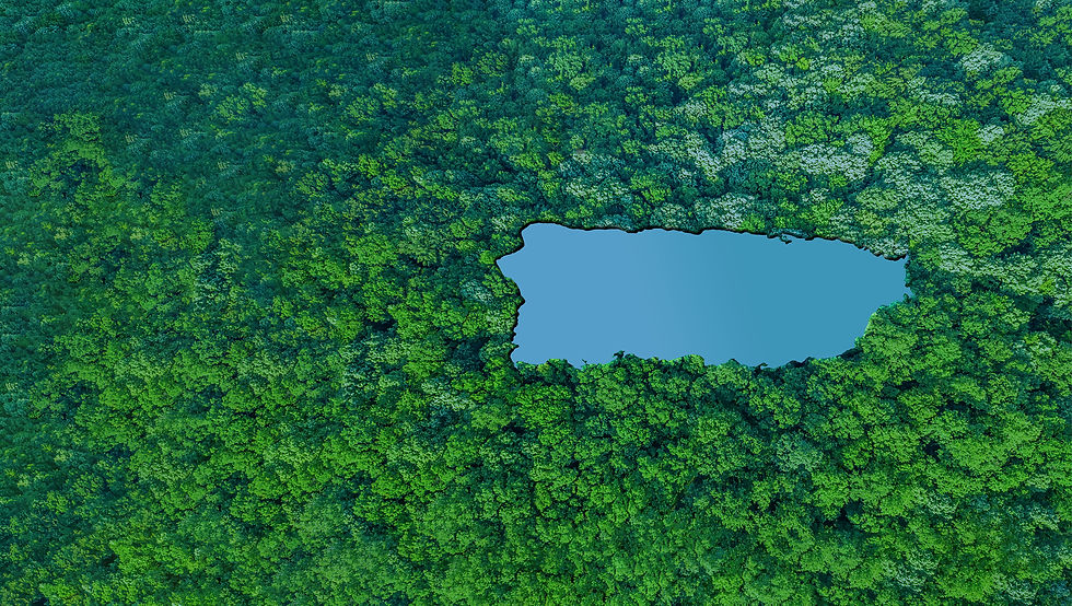 Promotional graphic showcasing a partnership between BLDM and PRISA. The aerial forest view features a water body shaped like Puerto Rico, symbolizing sustainable energy solutions for the region.