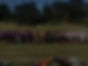 welly.jpg