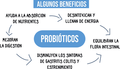 PROBIOTICOS info2-04.png