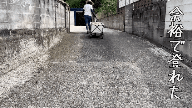 1352406.gif