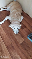 1_7175494779.jpg