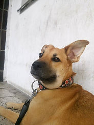 1_7175494779.jpg