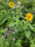 Vine Farm Demonstration Evening