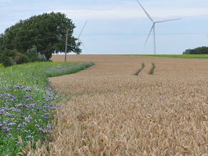 Government Consultation on Modernising Fertilisers Legislation