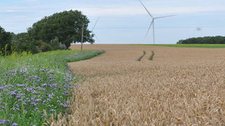 Government Consultation on Modernising Fertilisers Legislation