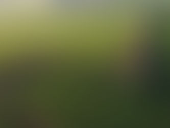 England’s Land Use Framework Finally Published