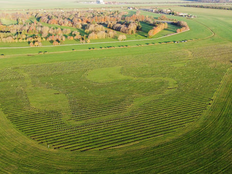England Woodland Creation Offer planting photographed from a drone