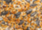 Supplementary bird seed mix including millet, sunflower hearts and cereals for AB12 and AHW2
