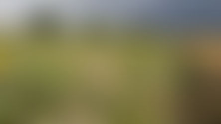 Keep it Standing - Game Cover Foundations