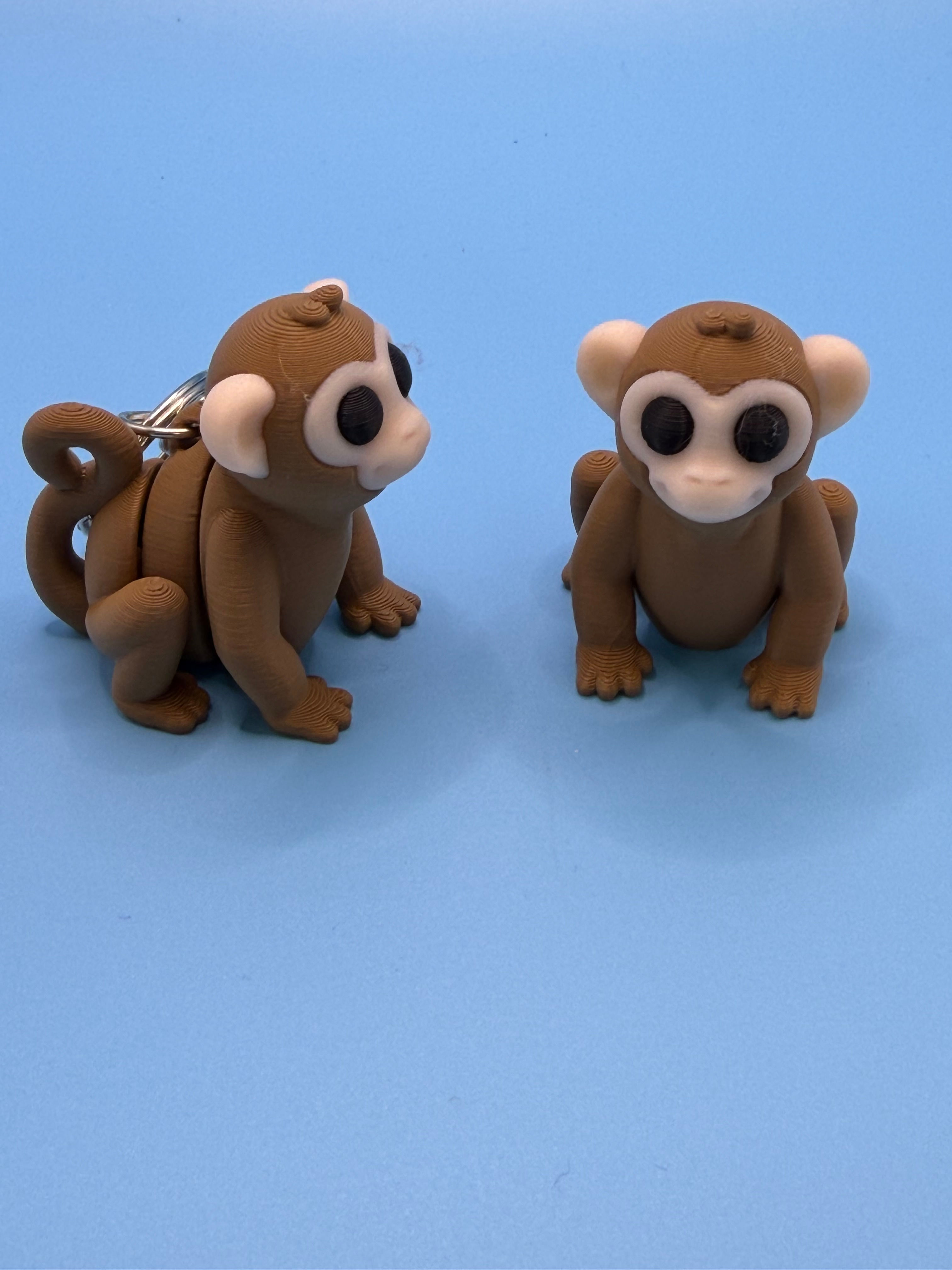 Monkey