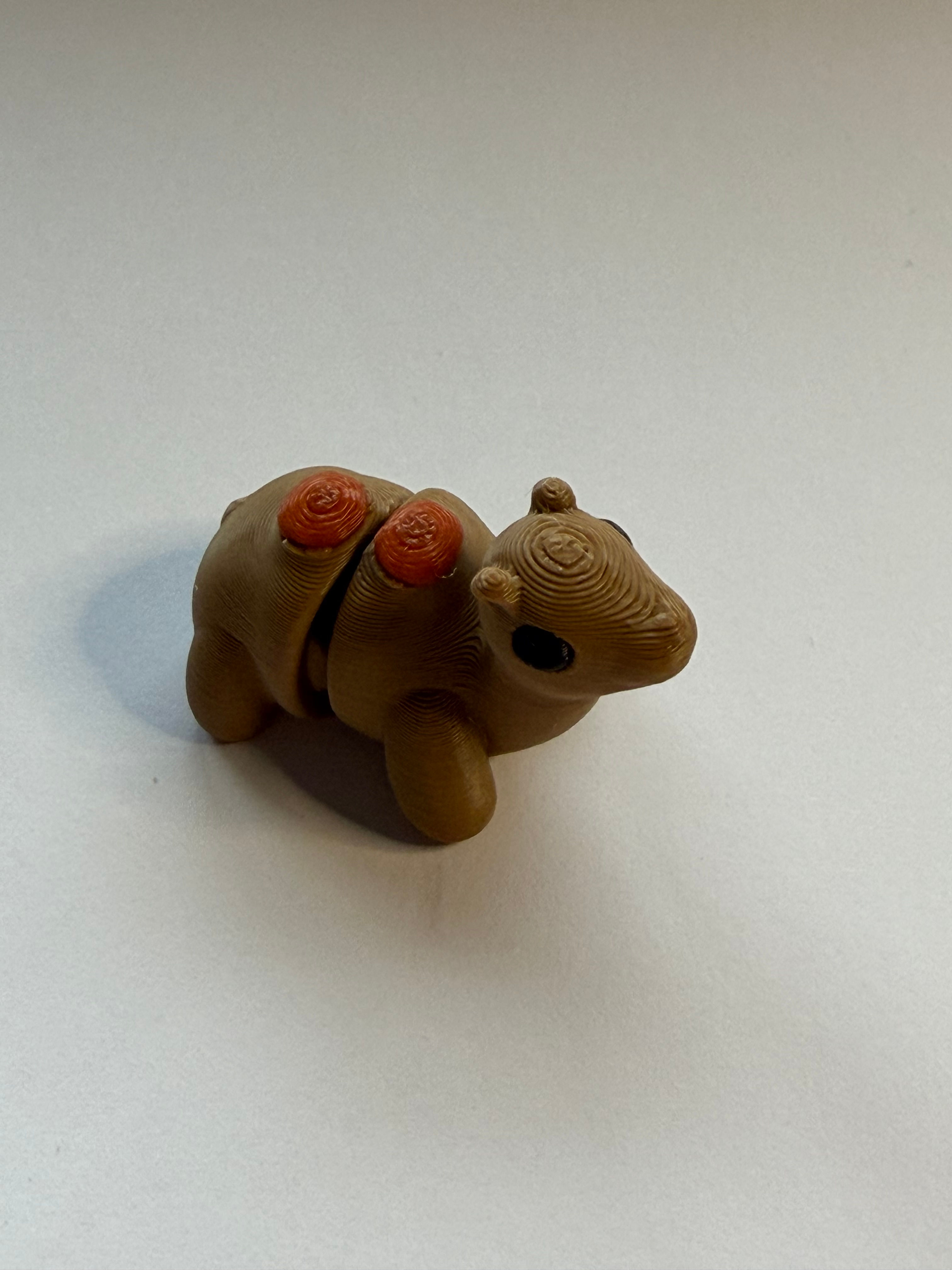 Camel