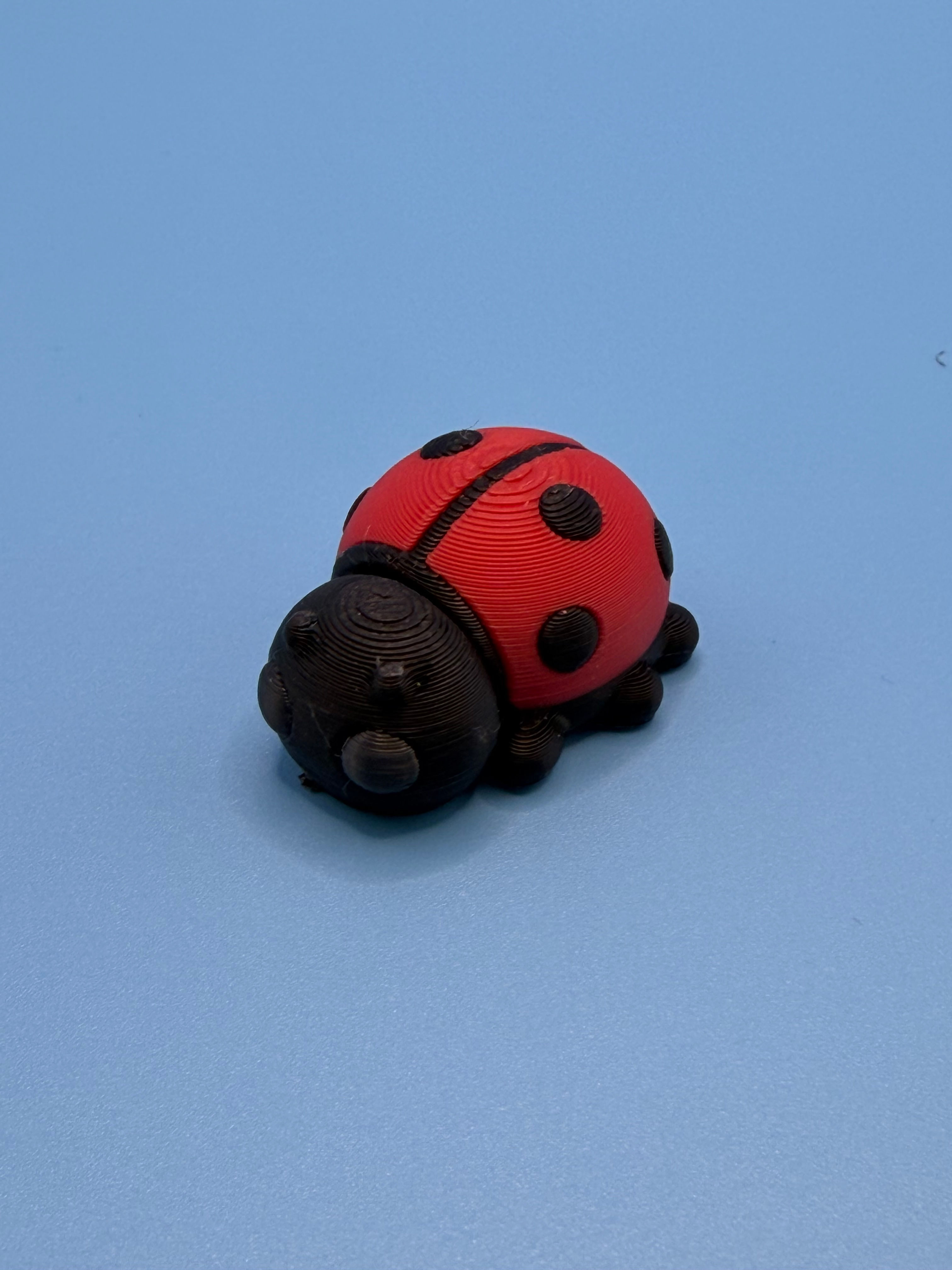 Ladybird (black and red)