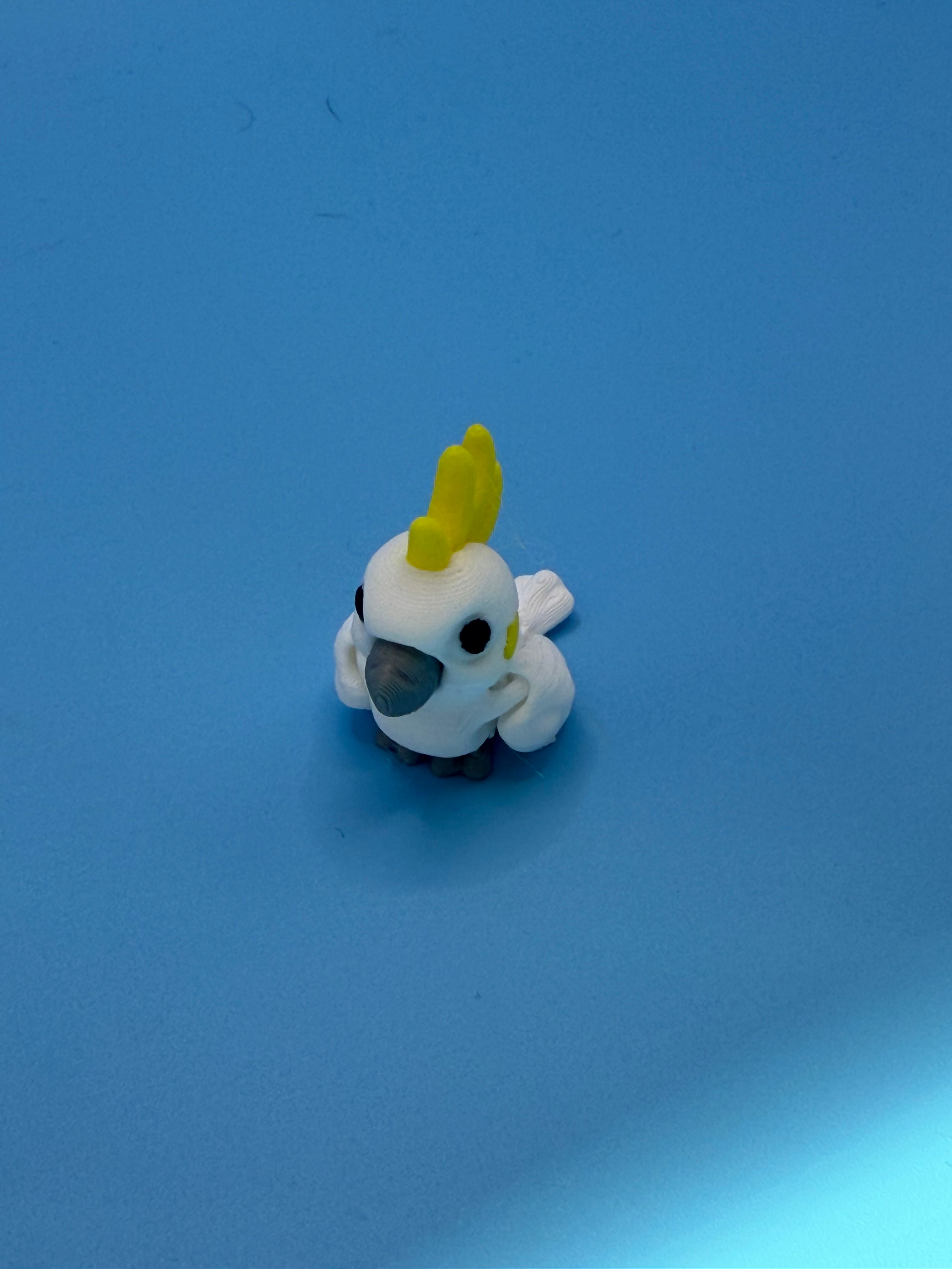 Cockatoo