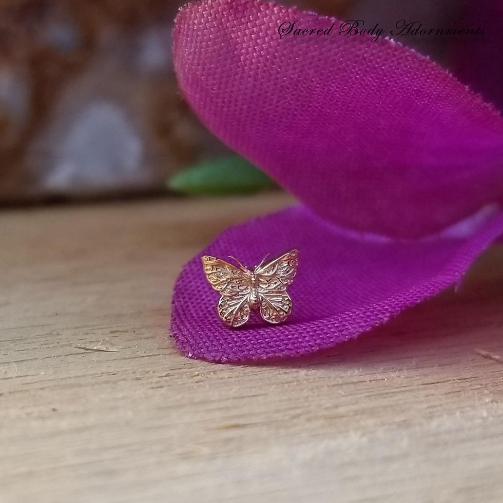 Thumbnail: Detailed Butterfly