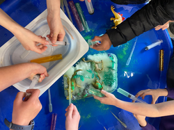 SCIENCE/SENSORY PLAY