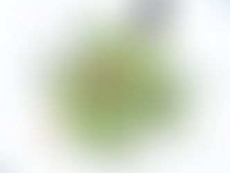 アートセラピー［芸術表現療法］