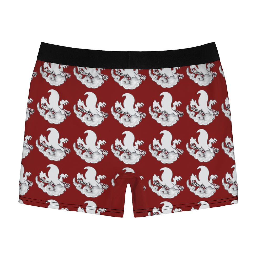 Thumbnail: Men's  Ghost Boxer Briefs 