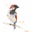 Thumbnail: house sparrow watercolor artist eric sweet
