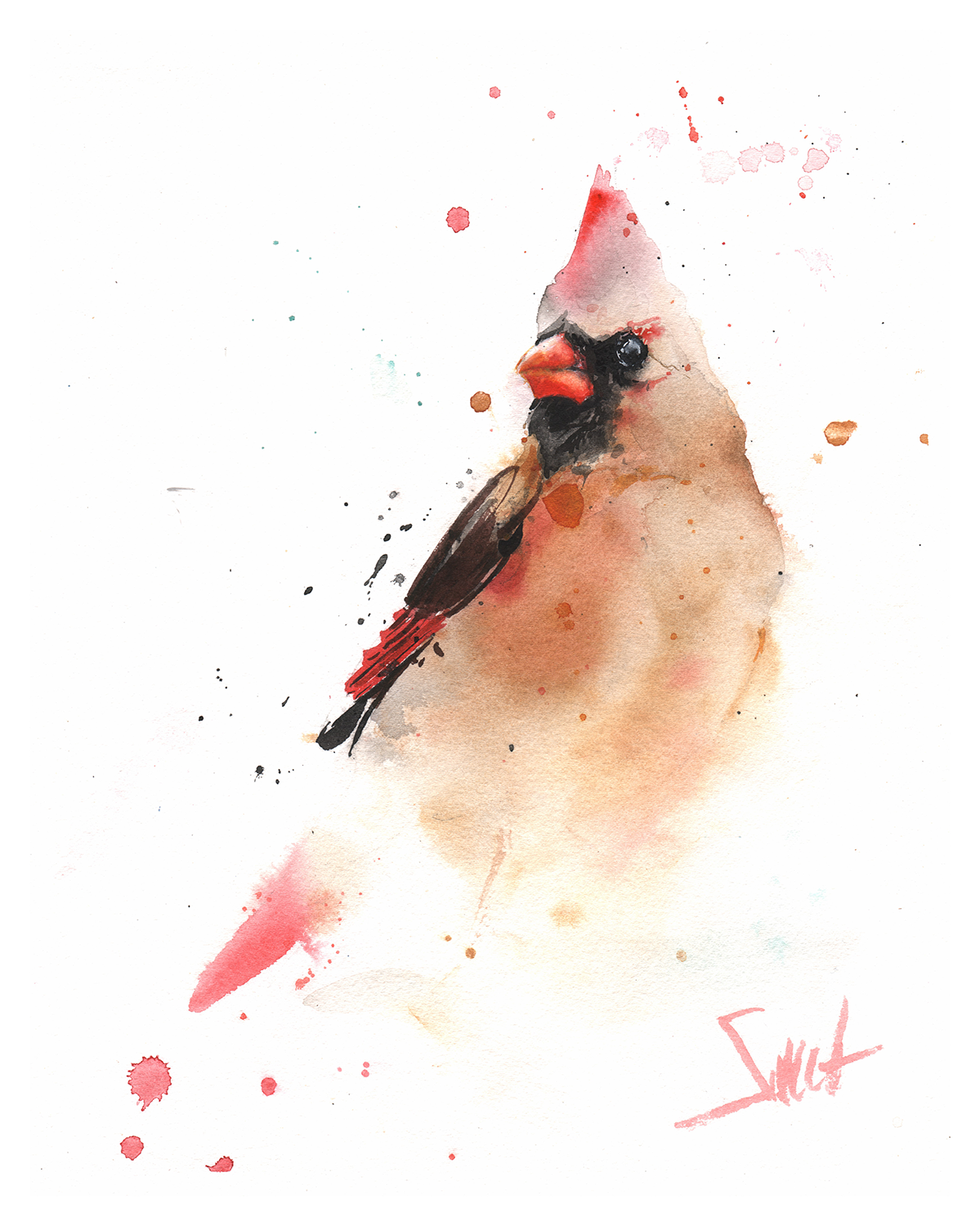 watercolor perched cardinal wildlife artist eric sweet