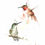 Thumbnail: Rufous Hummingbird Pair Watercolor Print