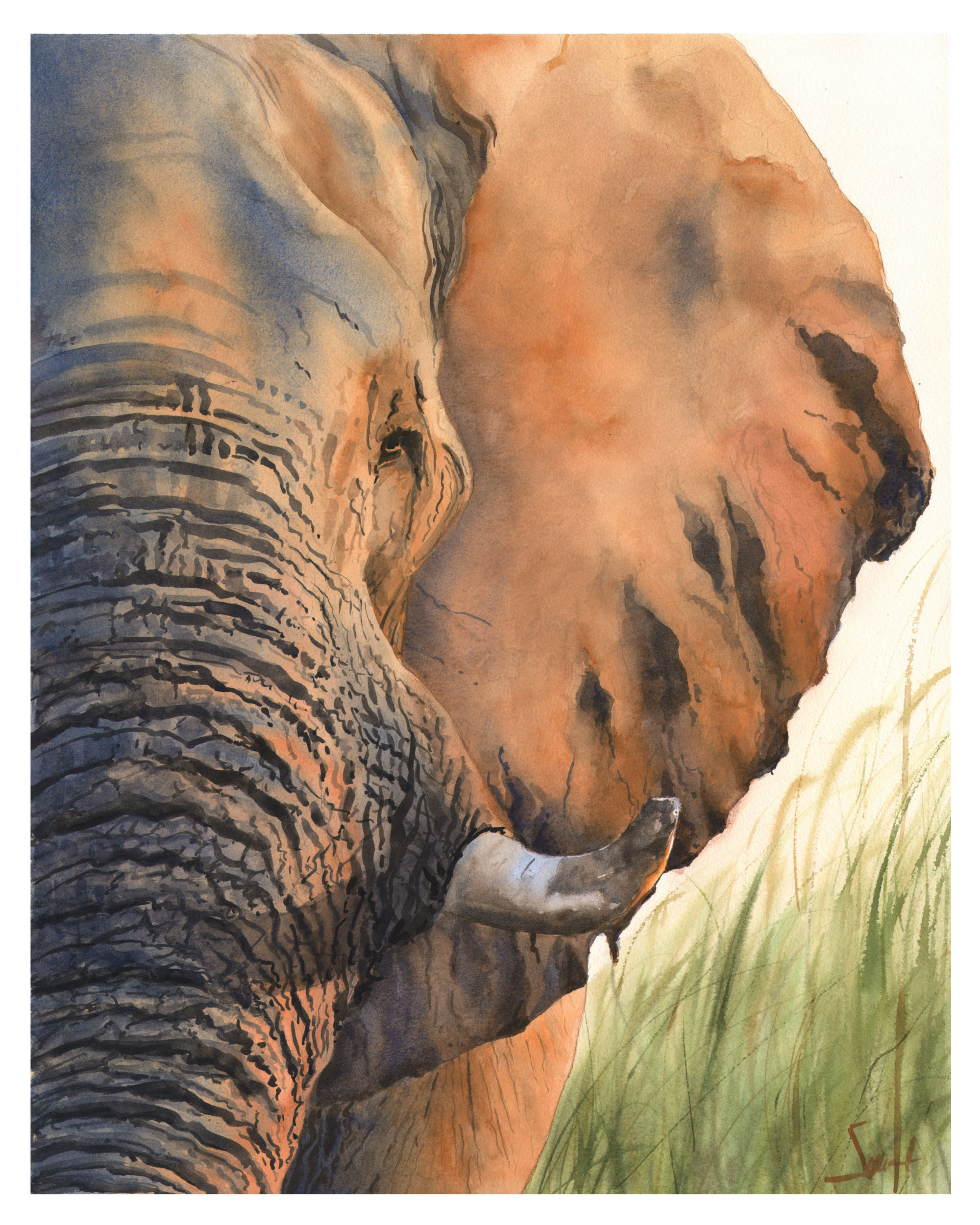Serene Elephant Watercolor Painting - Morning Sun on the African Plain