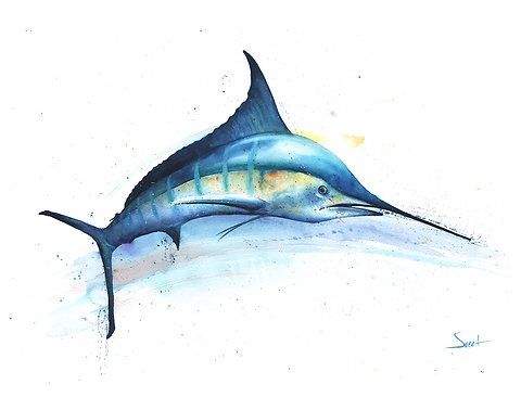 Blue Marlin Fish Watercolor Print Artist Eric Sweet