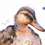 Thumbnail: watercolor mallard duck painting