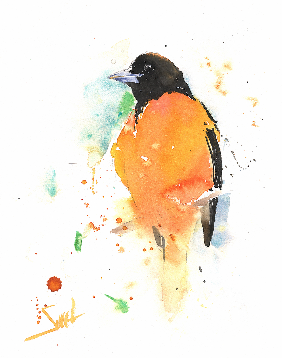 baltimore oriole watercolor wildlife artist eric sweet