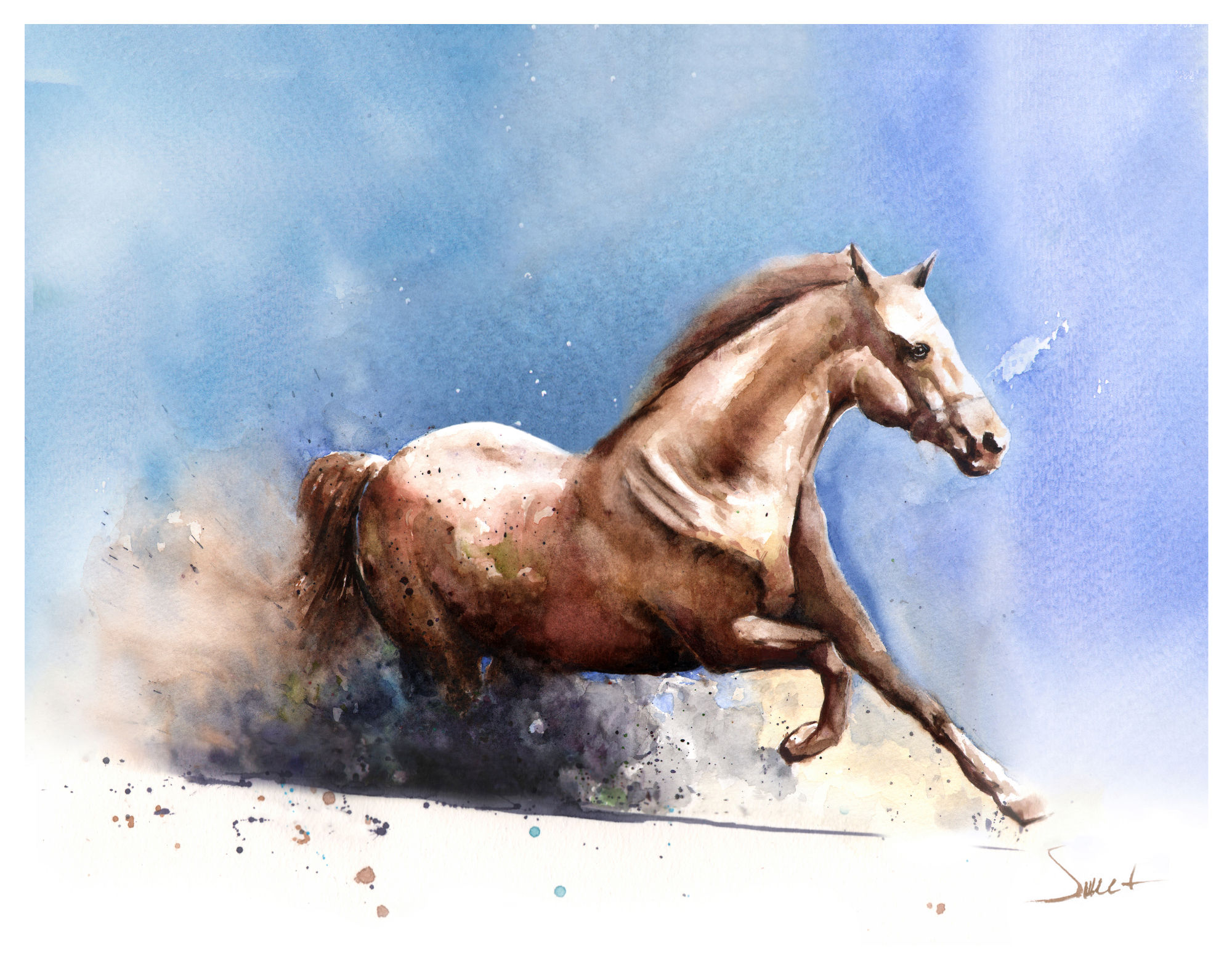 wild horse watercolor equine wildlife artist eric sweet