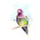Thumbnail: anna's hummingbird watercolor artist eric sweet