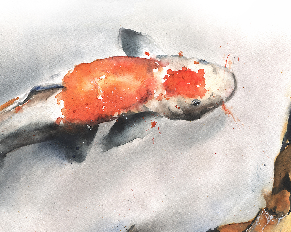 Thumbnail: koi fish watercolor