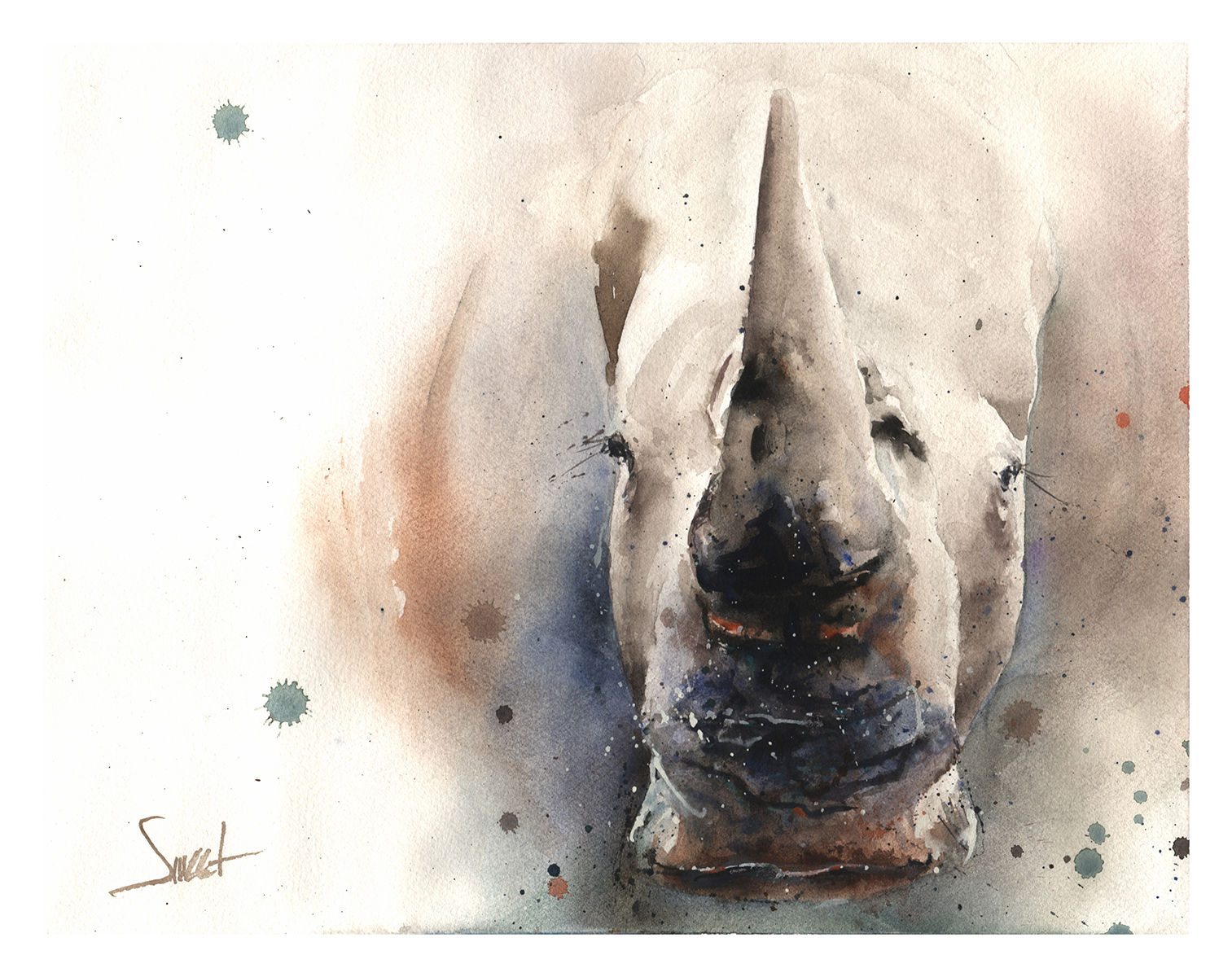 white rhino watercolor wildlife artist eric sweet