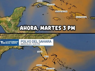🐪🌬️ Breaking News : Le Sahara a décidé de prendre des vacances à Cuba !