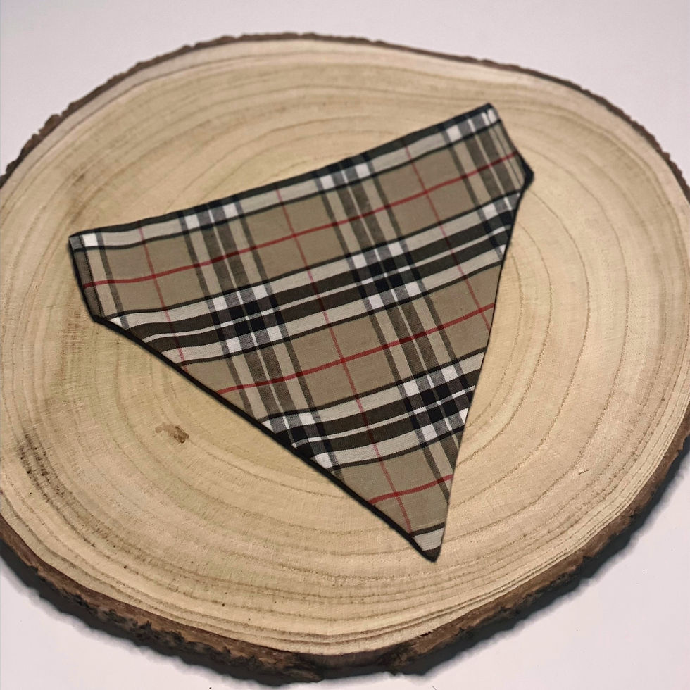 Teddy Tartan Bandana