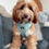 Thumbnail: Ultimutt Sage Harness
