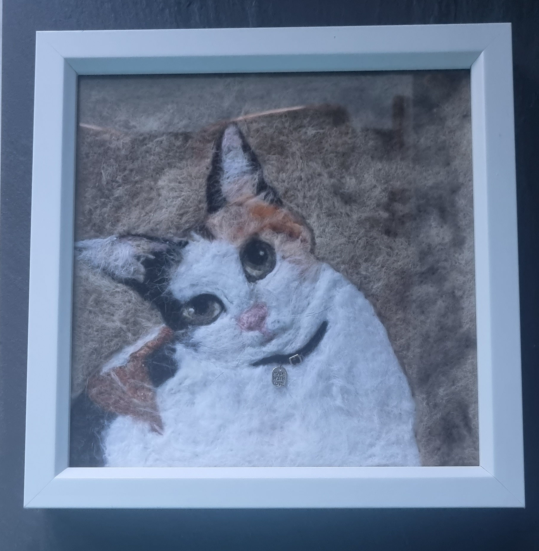 Pet portrait of a beautiful cat Lolly