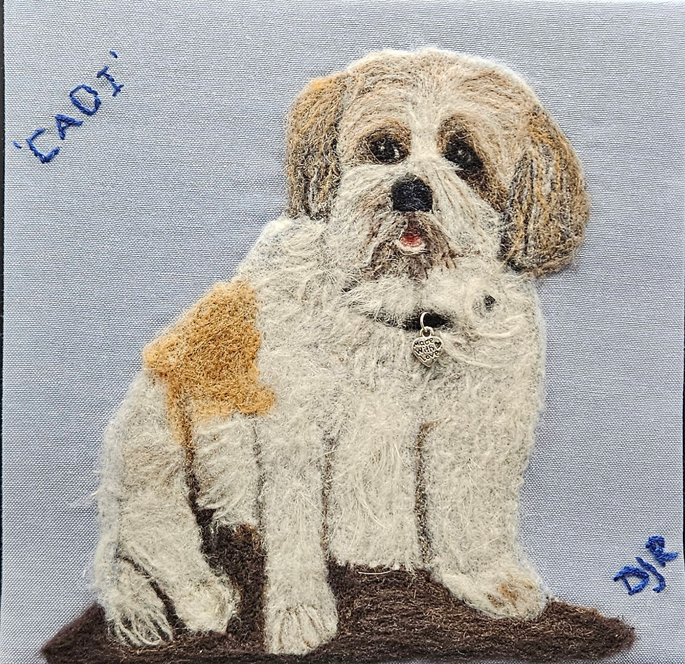 Cavapoo Dog portrait