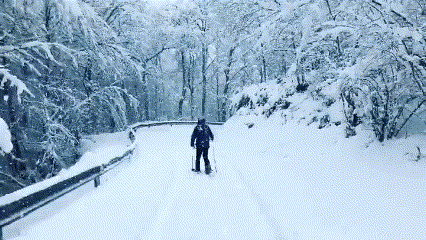 Ruta en Raquetas de Nieve por Viego, Asturias