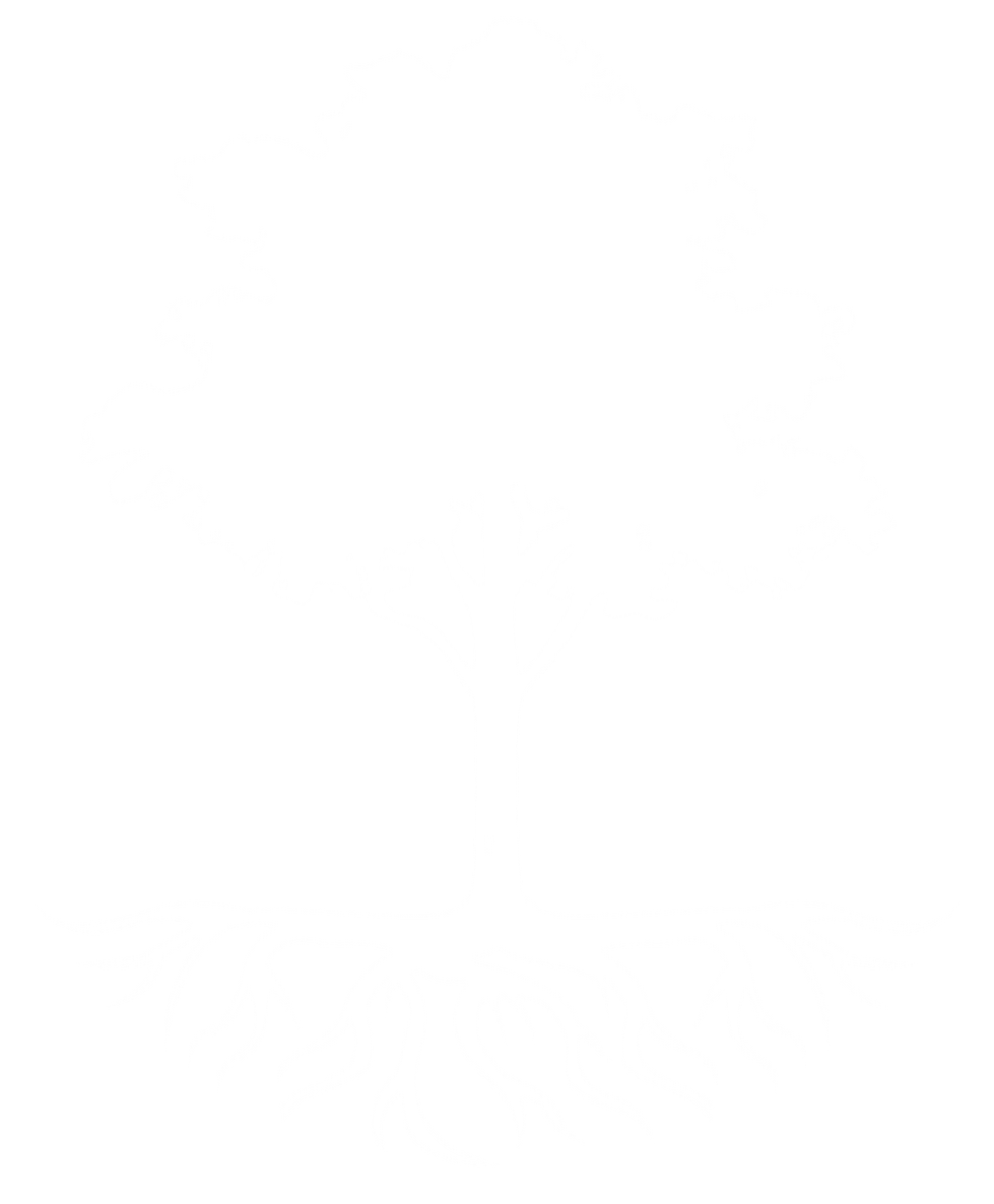 QHC Phase Graphic (2).png