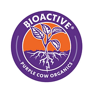 Website Graphics (1).png