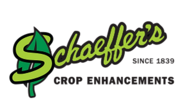 Untitled design (1).png