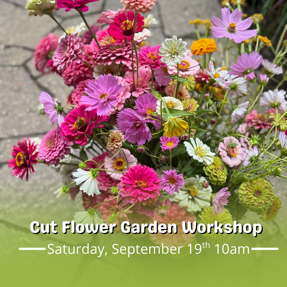 Cut Flower Garden Workshop